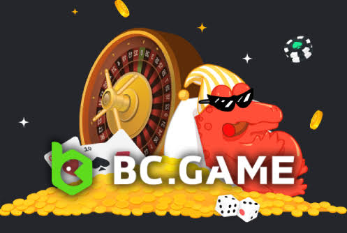 The Comprehensive Guide to the BC App Verification Process
