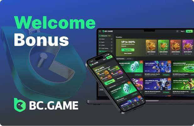 The Comprehensive Guide to the BC App Verification Process